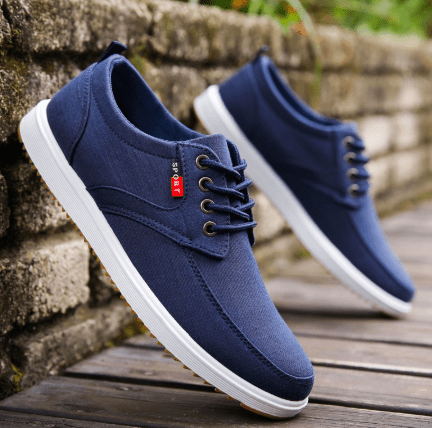 Javier - Zapatillas Casual de Lona Hombre con Cordones - Vivea Casa